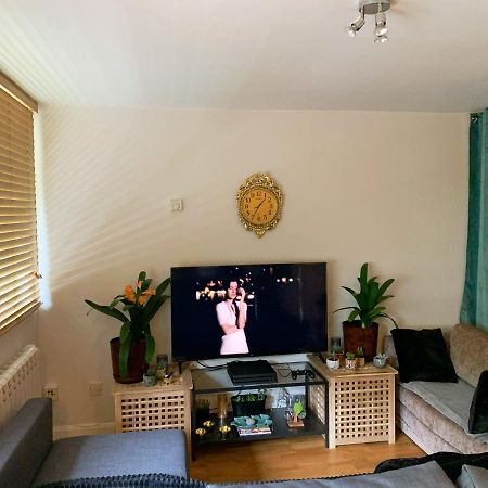 Garden Beautiful Cozy Flat , Recent Decorated. Apartment London Exterior photo
