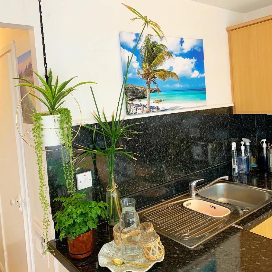 Garden Beautiful Cozy Flat , Recent Decorated. Apartment London Exterior photo