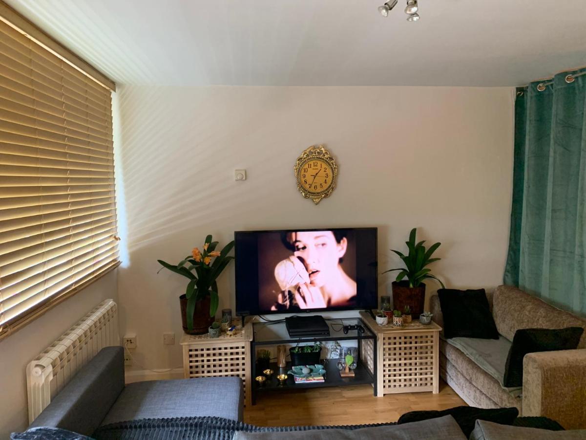 Garden Beautiful Cozy Flat , Recent Decorated. Apartment London Exterior photo