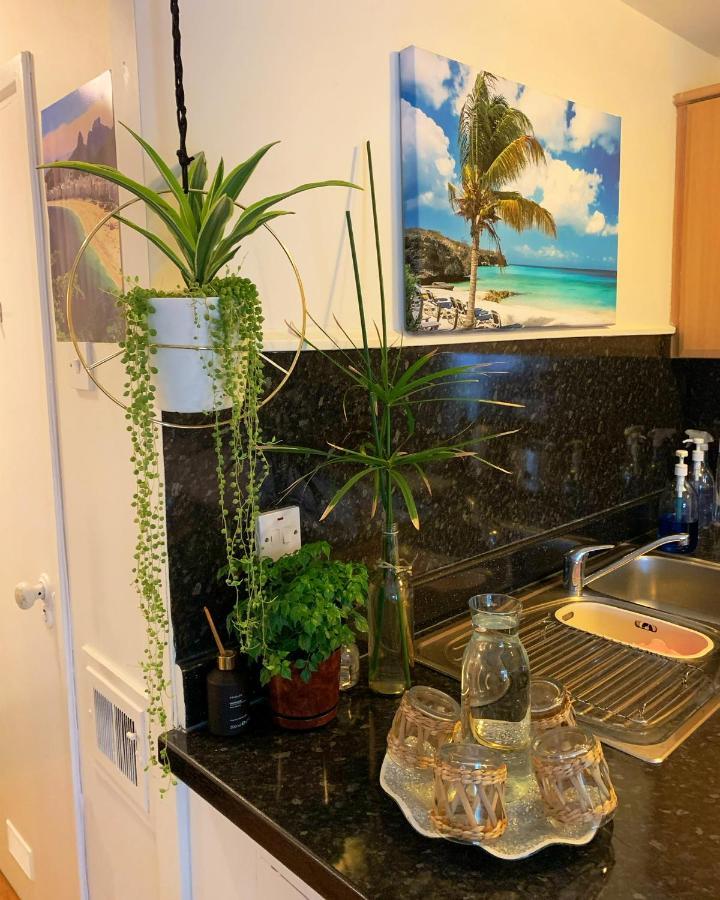Garden Beautiful Cozy Flat , Recent Decorated. Apartment London Exterior photo